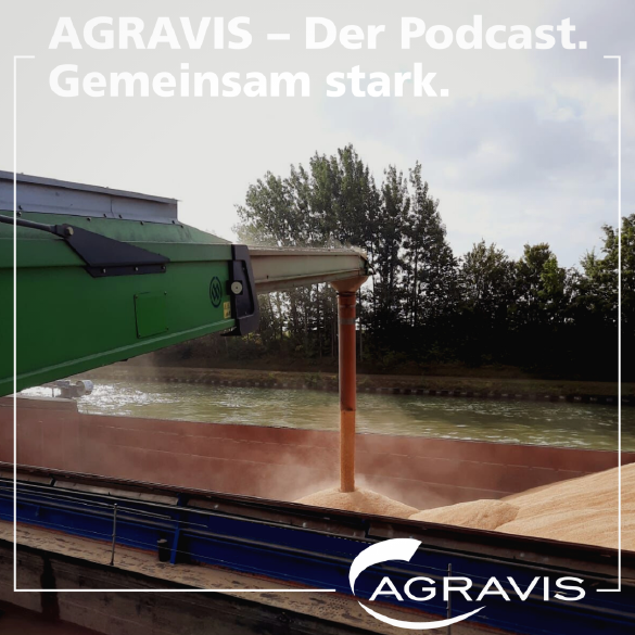 AGRAVIS-Podcast: Die Lage auf dem Getreidemarkt